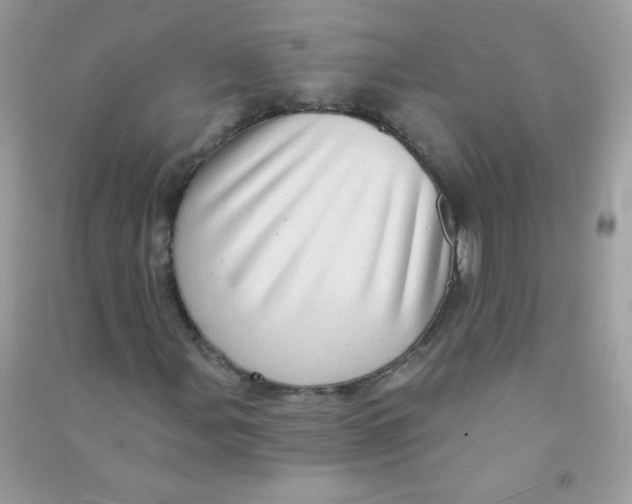 X0000090781107200708172122