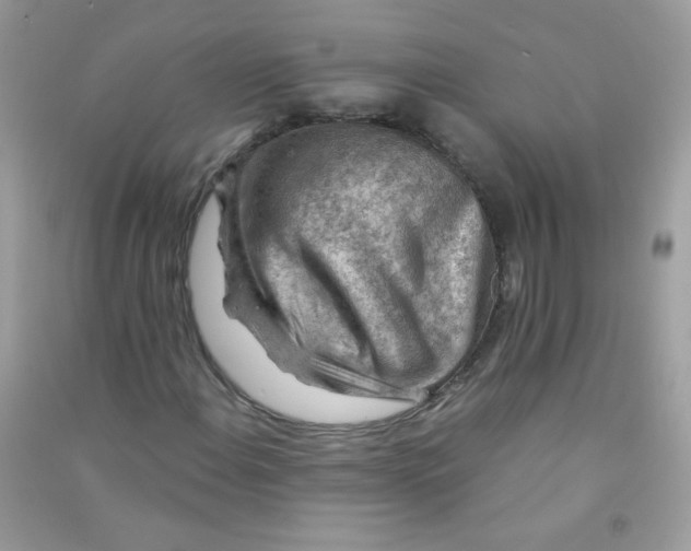 X0000090781108200708172122