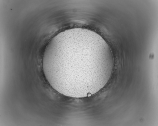 X0000090781109200708172122