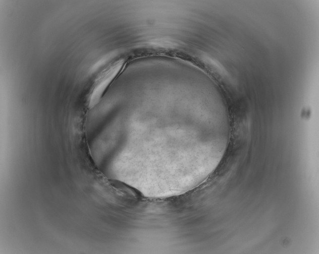 X0000090781110200708172122