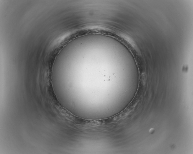 X0000090781111200708172122