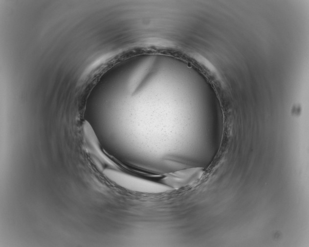 X0000090781112200708172122