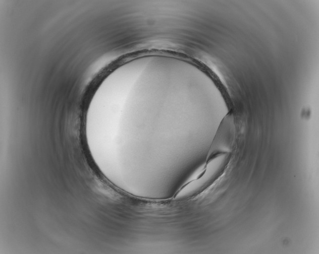 X0000090781115200708172122