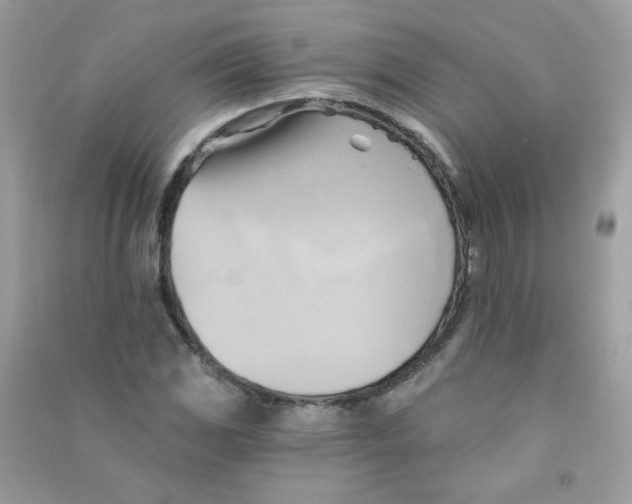 X0000090781117200708172122