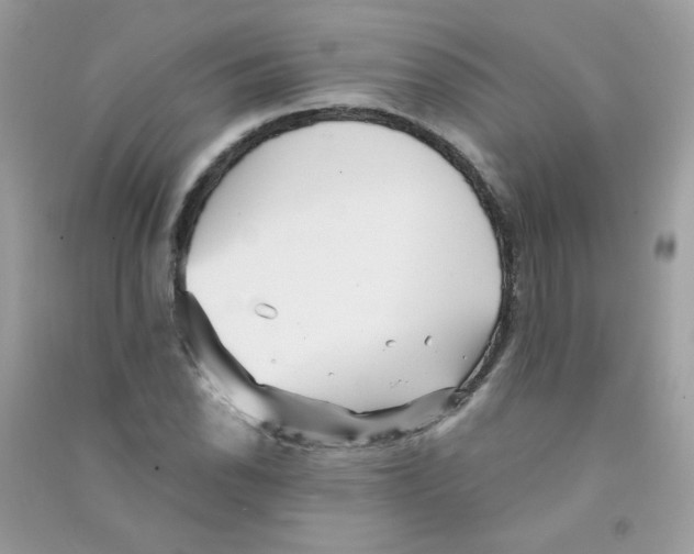 X0000090781118200708172122