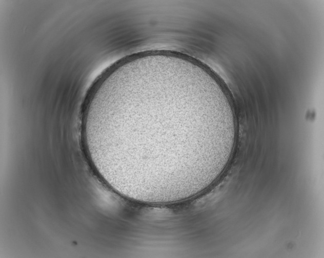 X0000090781119200708172122
