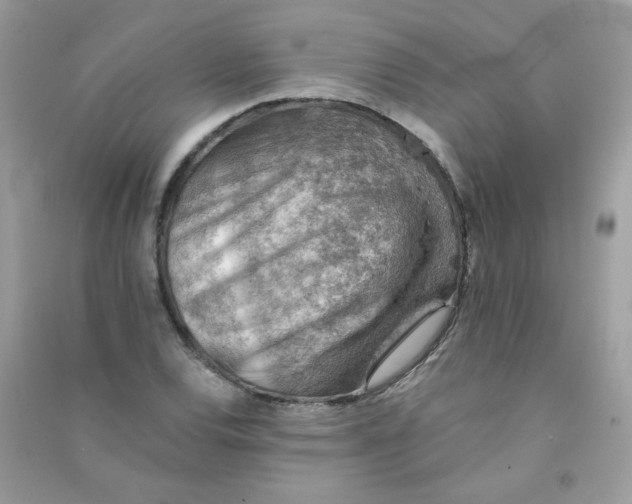 X0000090781120200708172122