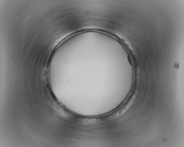 X0000090781121200708172122