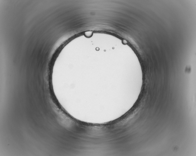 X0000090781122200708172122