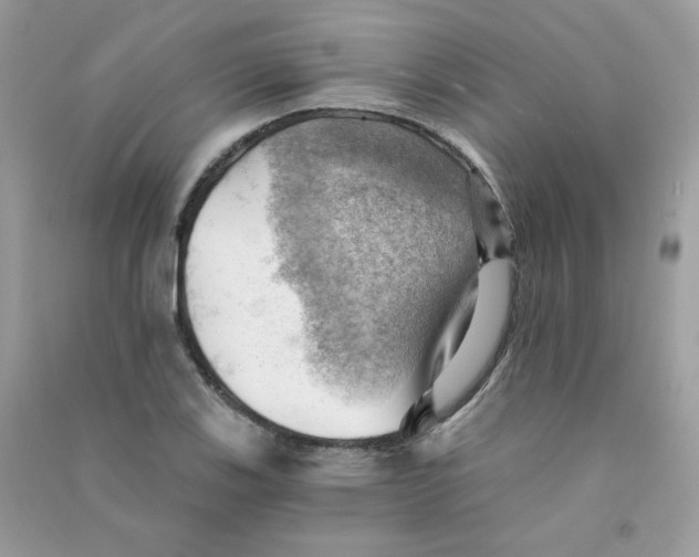 X0000090781123200708172122