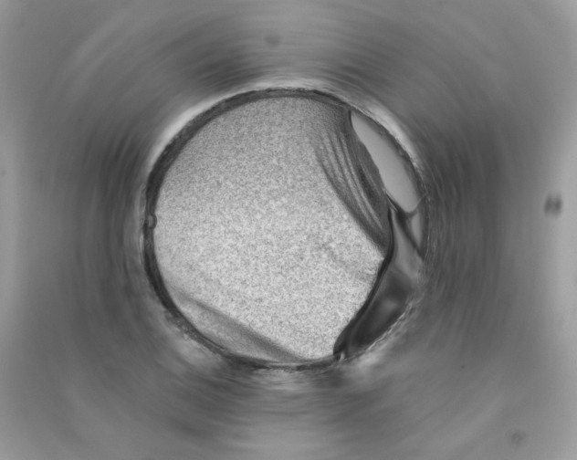 X0000090781124200708172122