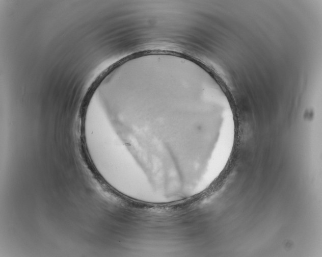 X0000090781125200708172122
