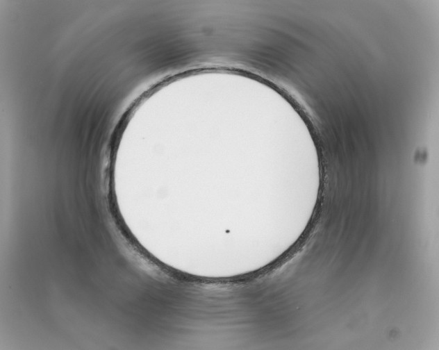 X0000090781126200708172122
