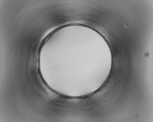 X0000090781127200708172122