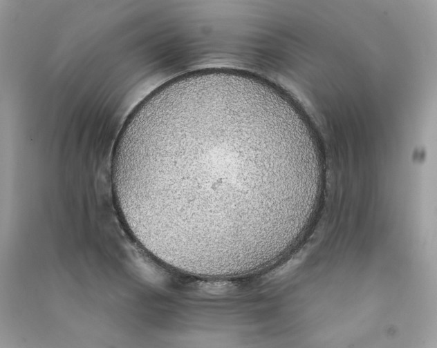 X0000090781129200708172122