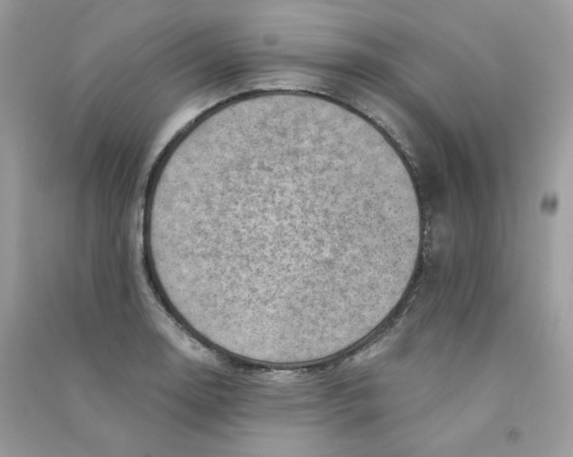 X0000090781130200708172122