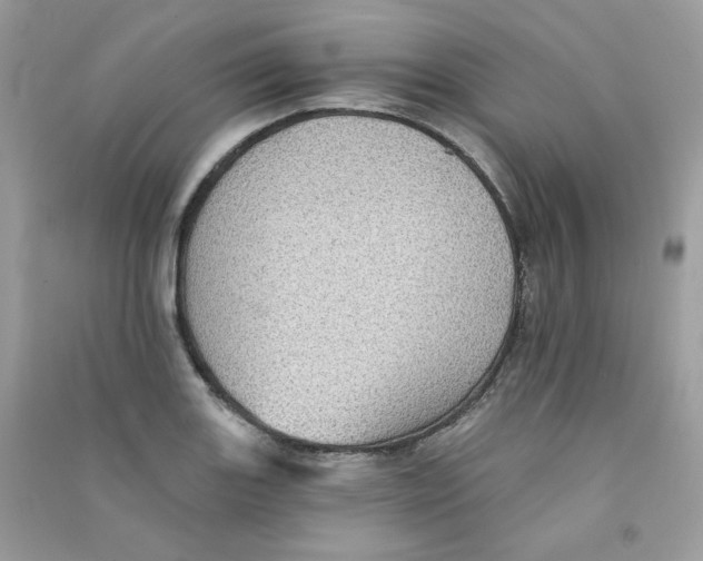 X0000090781131200708172122