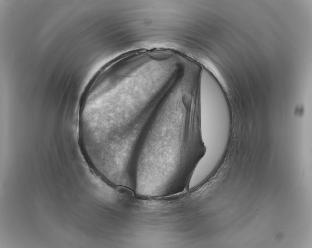 X0000090781132200708172122