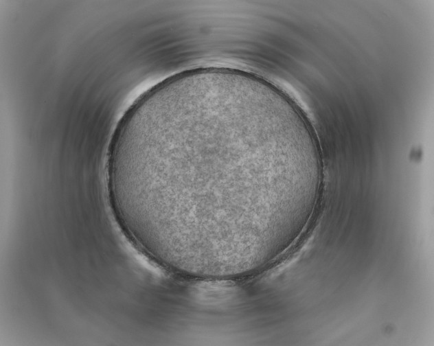X0000090781133200708172123