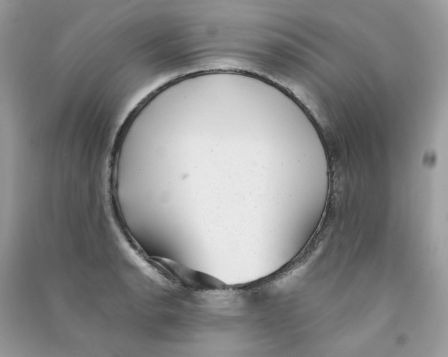X0000090781134200708172123