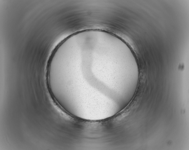 X0000090781135200708172123