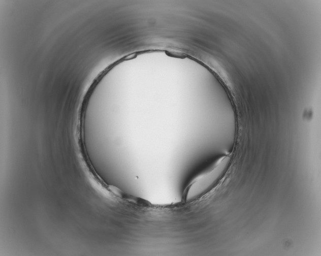 X0000090781136200708172123