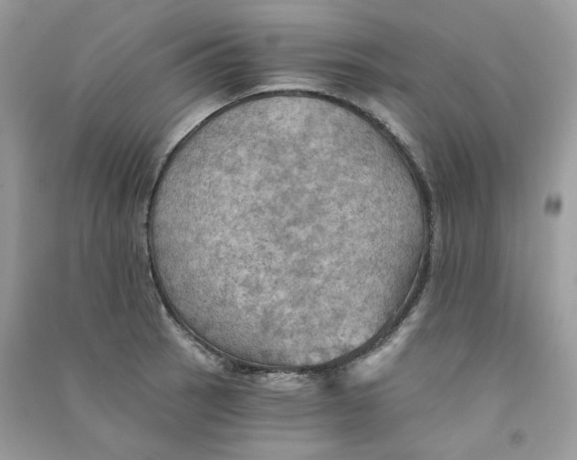X0000090781137200708172123