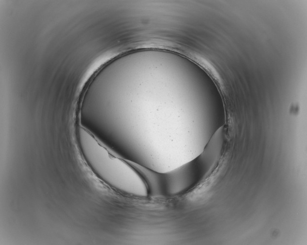 X0000090781138200708172123