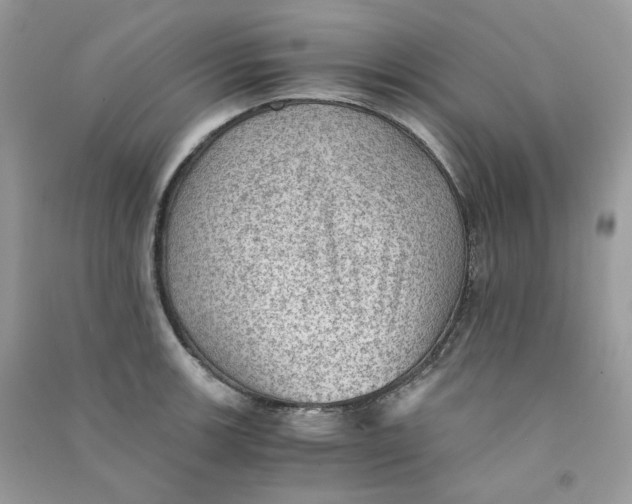 X0000090781139200708172123