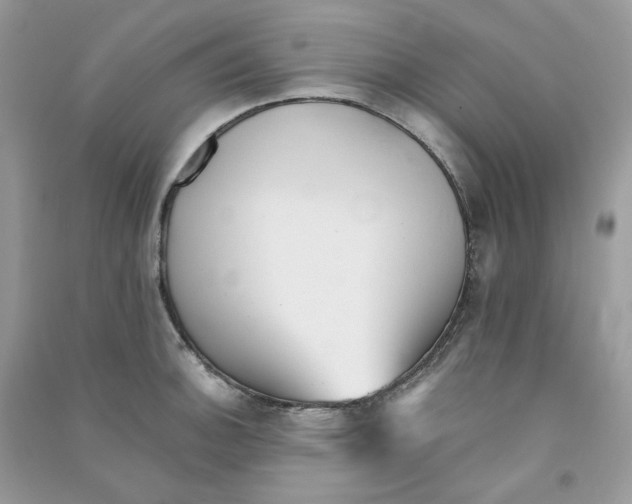 X0000090781140200708172123