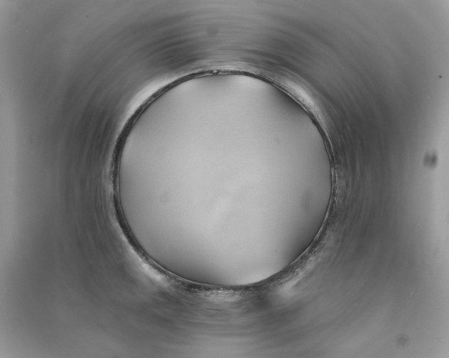 X0000090781141200708172123