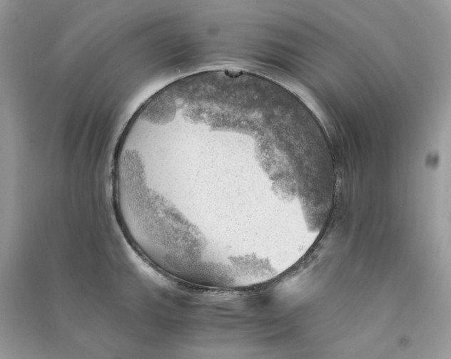 X0000090781143200708172123