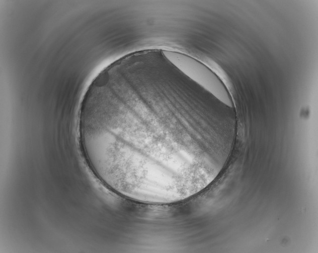 X0000090781144200708172123
