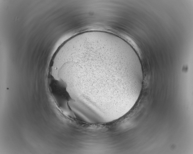 X0000090781146200708172123