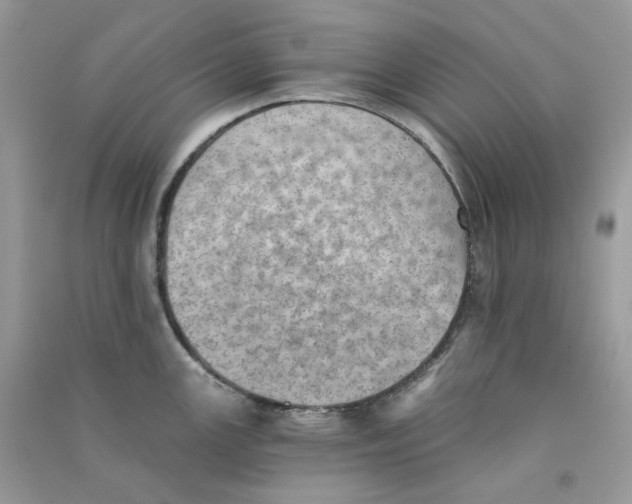 X0000090781147200708172123