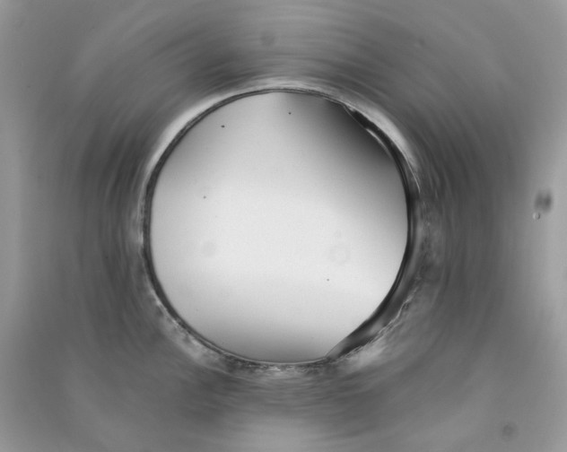 X0000090781148200708172123