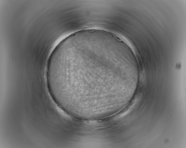 X0000090781149200708172123