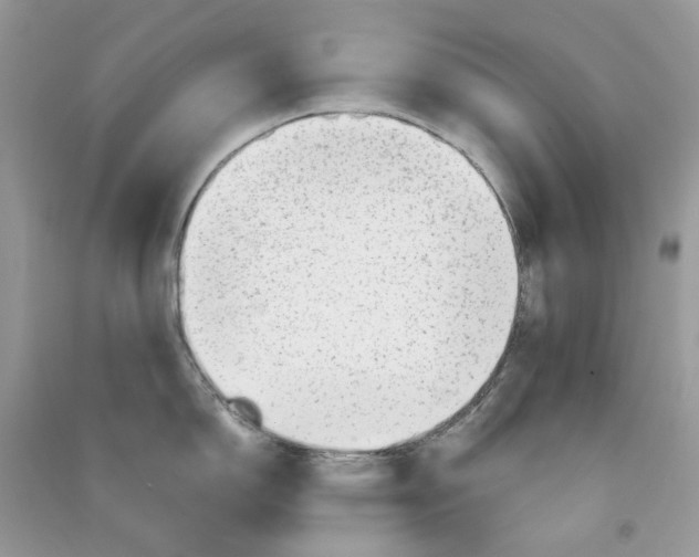 X0000090781150200708172123