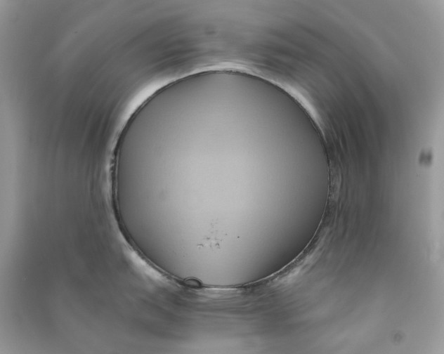 X0000090781151200708172123