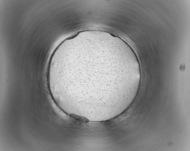 X0000090781152200708172123