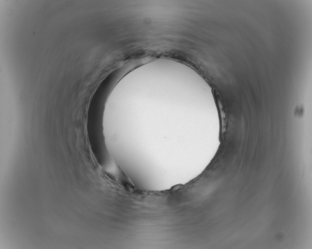X0000090781153200708172122