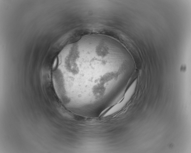 X0000090781155200708172122