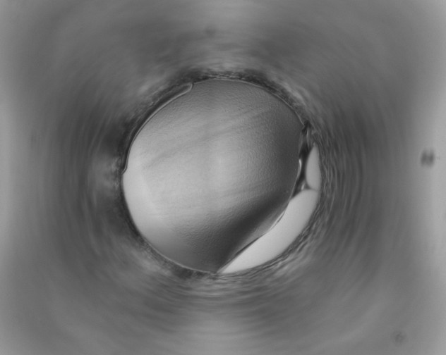 X0000090781156200708172122