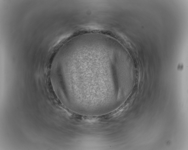 X0000090781157200708172122