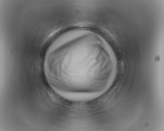 X0000090781158200708172122
