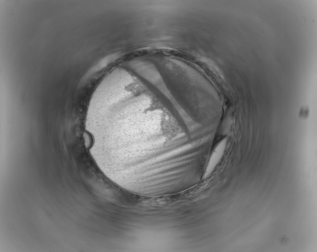 X0000090781159200708172122
