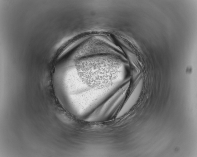 X0000090781160200708172122