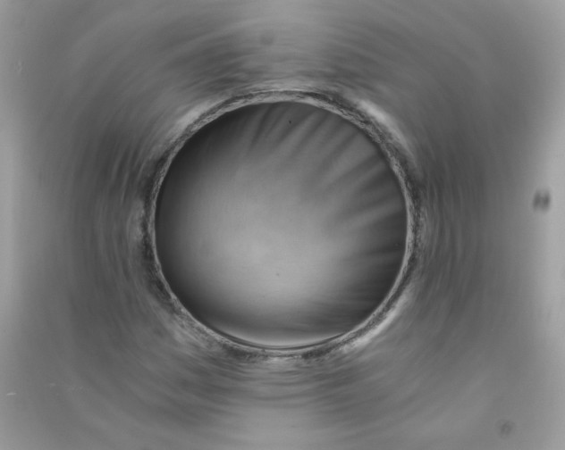 X0000090781161200708172122