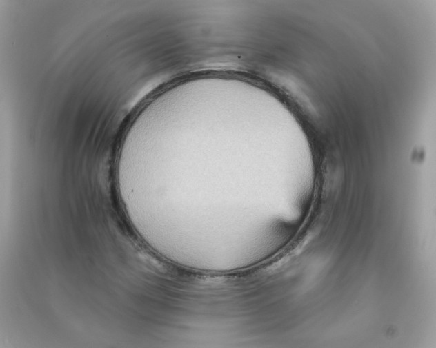 X0000090781162200708172122