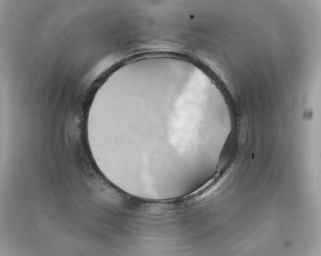 X0000090781163200708172122